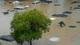 “城市应急短板”不需要人民日报提醒 “城市应急短板”不需要人民日报提醒