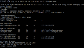 CentOS 7 安装bind和配置私有主备DNS服务器步骤 CentOS 7 安装bind和配置私有主备DNS服务器步骤