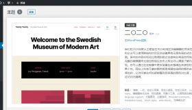 为什么wordpress后台只显示一个主题 为什么wordpress后台只显示一个主题