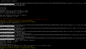 CentOS 7系统pip安装requests “def where() -> str”报错 CentOS 7系统pip安装requests “def where() -> str”报错