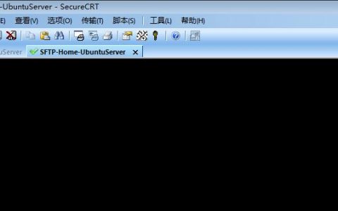 SecureCRT通过sftp上传文件到Linux和下载方法