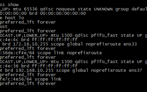 Linux IP 命令和常用情景使用举例实例