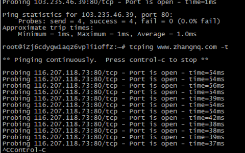 TCP端口检测、网络连接时延测试工具 tcping