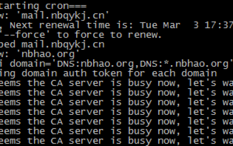 Let's encrypt更新SSL证书提示It seems the CA server is busy now的问题